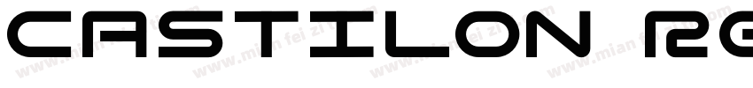 Castilon Regular字体转换
